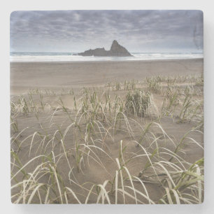 Porta-copo De Pedra Ilha da praia Panatahi de Karekare, costa oeste