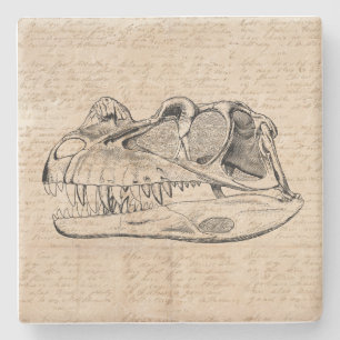 Porta-copo De Pedra Ilustração Crônica do Dinossauro e Papel de Scr