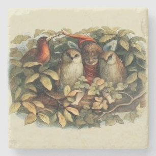 Porta-copo De Pedra Ilustração da Natureza de Corujas e Fadas Elfas