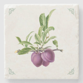 Porta-copo De Pedra Ilustração de Fruta Ameixa Vintage