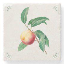 Ilustração de Fruta Pêssego Vintage