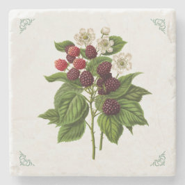 Porta-copo De Pedra Ilustração de Frutas de Framboesas Vintage