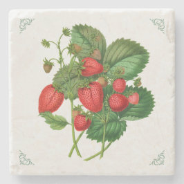 Porta-copo De Pedra Ilustração de Frutas de Morangos Vintage