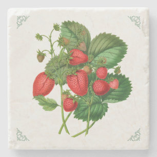 Porta-copo De Pedra Ilustração de Frutas de Morangos Vintage