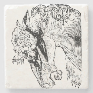 Porta-copo De Pedra Ilustração Elegante de Cavalo de Vintagem Equestre
