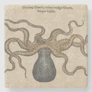 Porta-copo De Pedra Ilustração Octopus Kraken Vintage