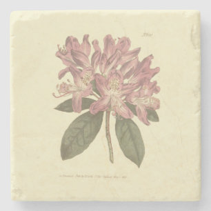 Porta-copo De Pedra Ilustração Rhododendron Roxo