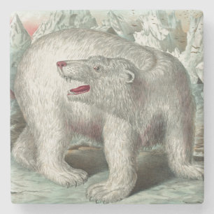 Porta-copo De Pedra Ilustração vintage de urso polar iceberg inverno