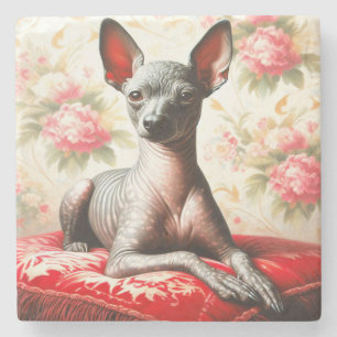 Porta-copo De Pedra Ilustração Vintage Xoloitzcuintle