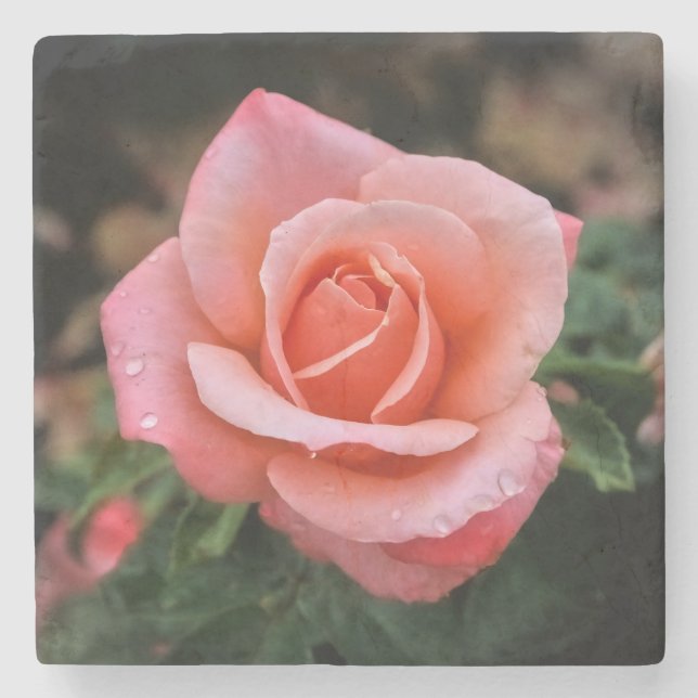 Porta-copo De Pedra Impressão de Arte Botânica Rosa Romântica (Frente)