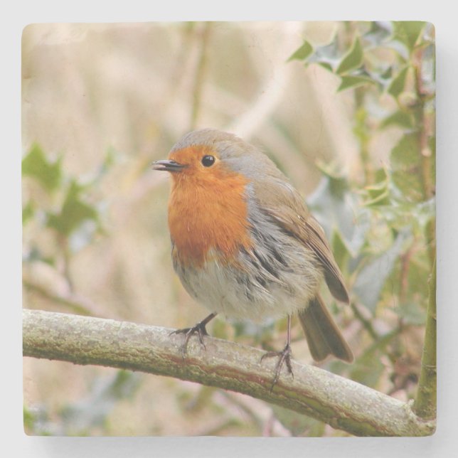 Porta-copo De Pedra Incrível Robin (Frente)
