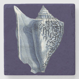 Porta-copo De Pedra Indigo Shells I