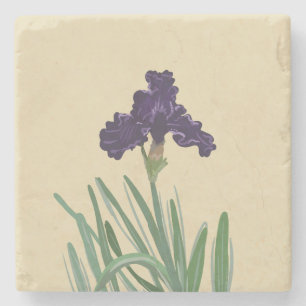 Porta-copo De Pedra Íris com Primavera roxo