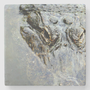 Porta-copo De Pedra Jacaré 2