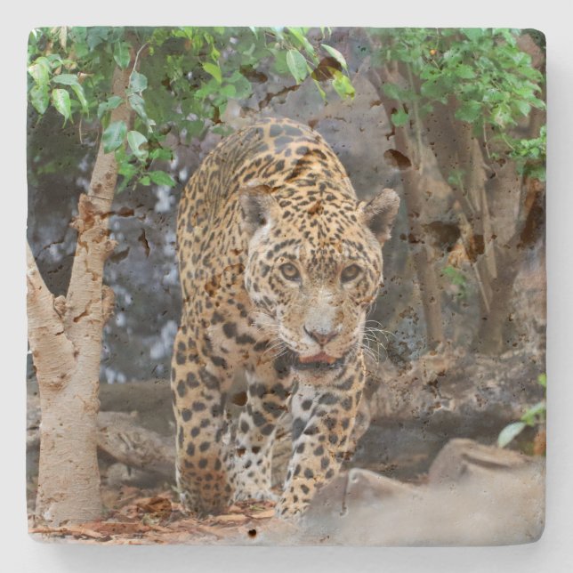 Porta-copo De Pedra Jaguar20150501 (Frente)