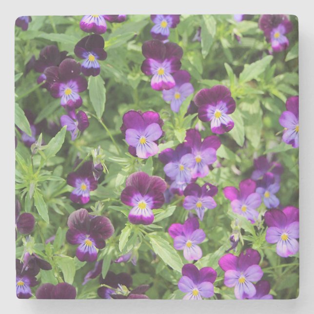 Porta-copo De Pedra Johnny Pop Ups (Frente)