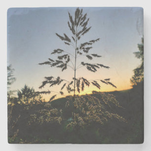 Porta-copo De Pedra Johnson Grass