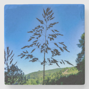 Porta-copo De Pedra Johnson Grass