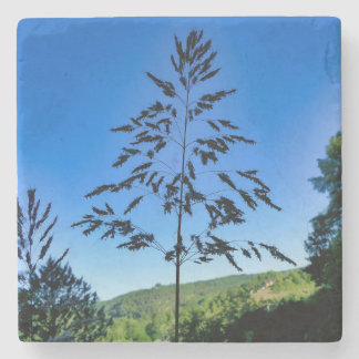 Porta-copo De Pedra Johnson Grass