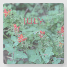 PORTA-COPO DE PEDRA JULHO