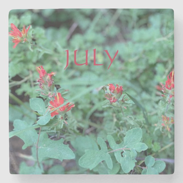 PORTA-COPO DE PEDRA JULHO (Frente)