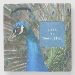 Porta-copo De Pedra Kauai Peacock Feather