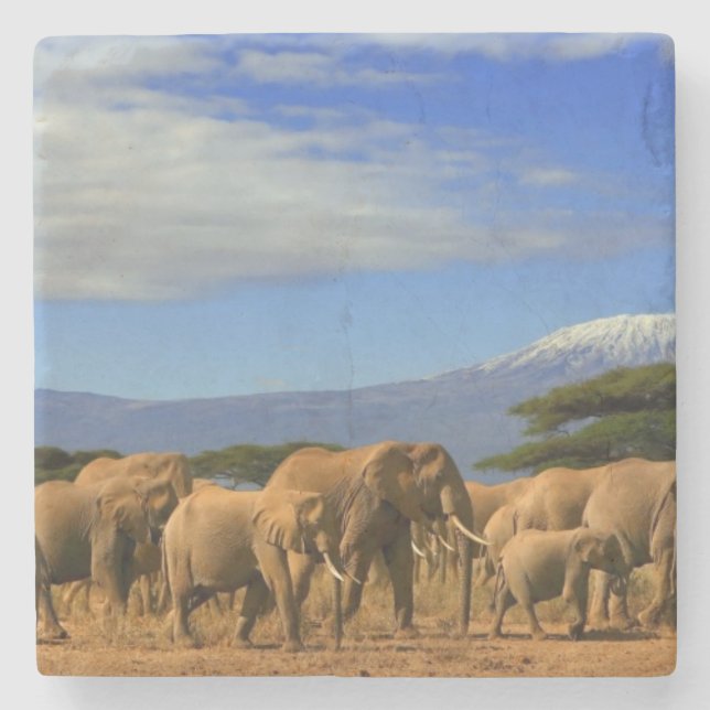 Porta-copo De Pedra Kilimanjaro e elefantes (Frente)