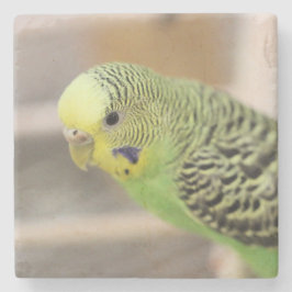 Porta-copo De Pedra Kiwi