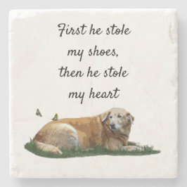 Porta-copo De Pedra Labrador Amarelo Mistura de Cachorro Porta copos