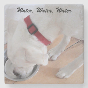Porta-copo De Pedra Labrador Branco Cachorro Bebendo Água