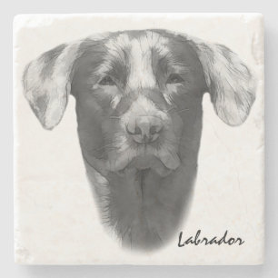Porta-copo De Pedra Labrador Dog na moda