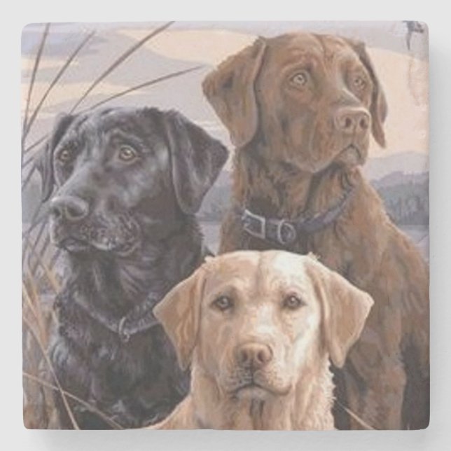 Porta-copo De Pedra Labrador Retrievers (Frente)