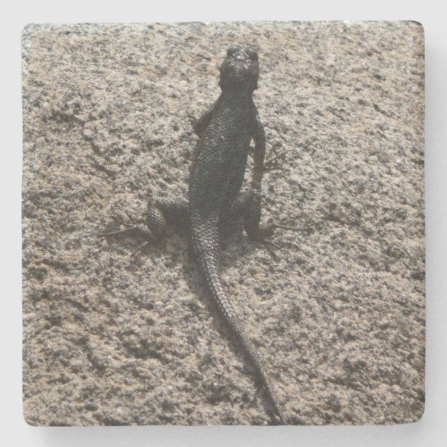 Porta-copo De Pedra Lagarto Preto (Frente)