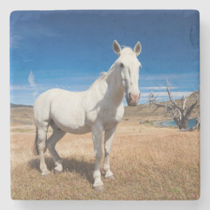 Porta-copo De Pedra Laguna Azul, paisagem com cavalos