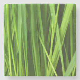 Porta-copo De Pedra Lâminas de gramíneas