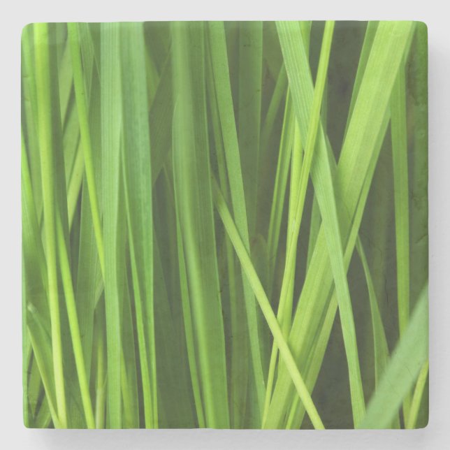 Porta-copo De Pedra Lâminas de gramíneas (Frente)