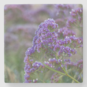Porta-copo De Pedra Lavanda pelo oceano