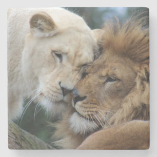 Porta-copo De Pedra Leões