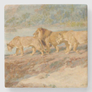 Porta-copo De Pedra Leões na margem de um rio africano
