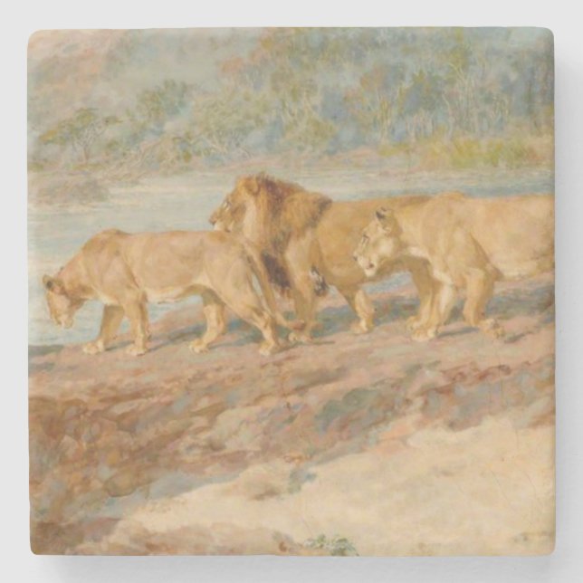 Porta-copo De Pedra Leões na margem de um rio africano (Frente)