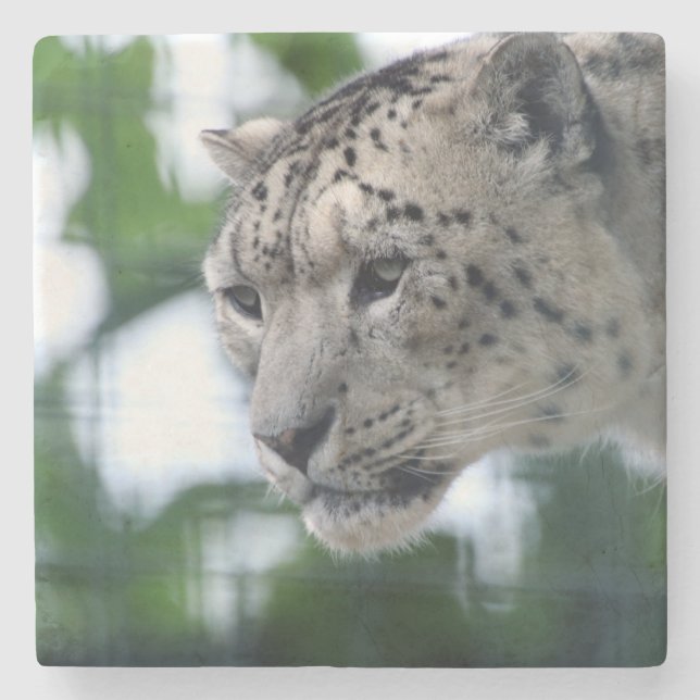 Porta-copo De Pedra Leopardo 003 (Frente)