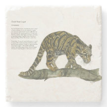 Leopardo nublado, Bonito Pintado À Mão, Ameaçado D