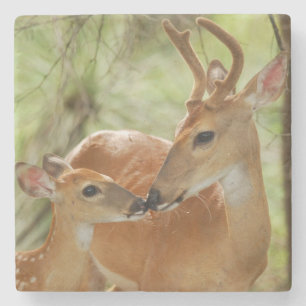 Porta-copo De Pedra Ligação do fanfarrão e da jovem corça do White