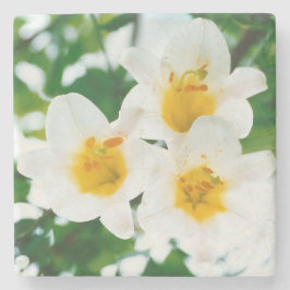 Porta-copo De Pedra Lilios brancos - Símbolo de amor