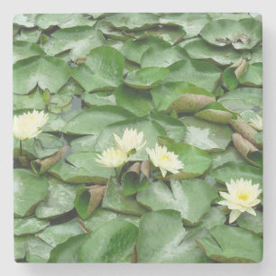 Porta-copo De Pedra Lillies de Água