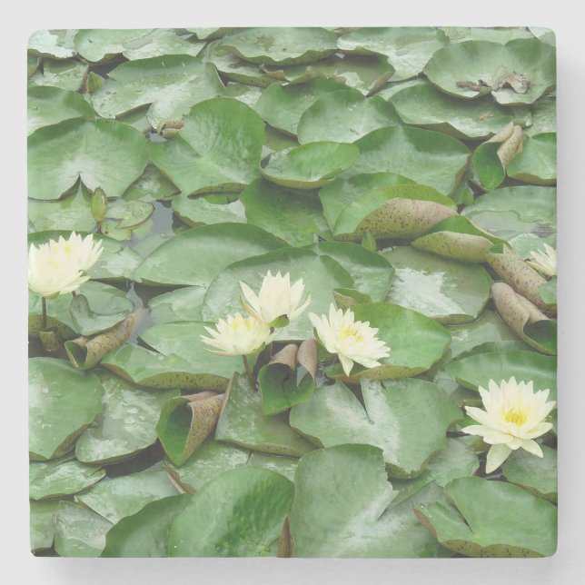Porta-copo De Pedra Lillies de Água (Frente)