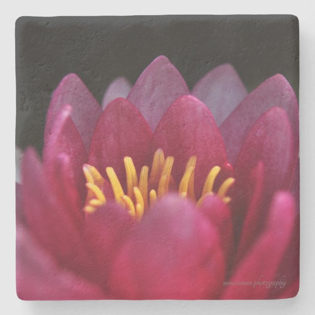 Porta-copo De Pedra Lily Água (Frente)