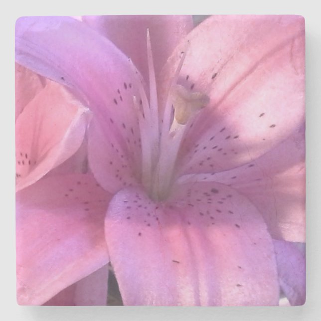 Porta-copo De Pedra Lily Porta copos (Frente)