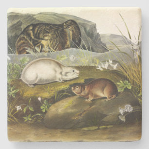 Porta-copo De Pedra Limpeza da Baía de Hudson (Colarada de Ungava) por