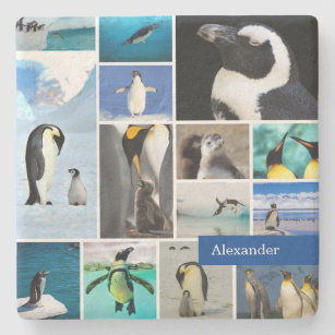 Porta-copo De Pedra Linda Colagem de Fotos de Pinguim com Nome Próprio